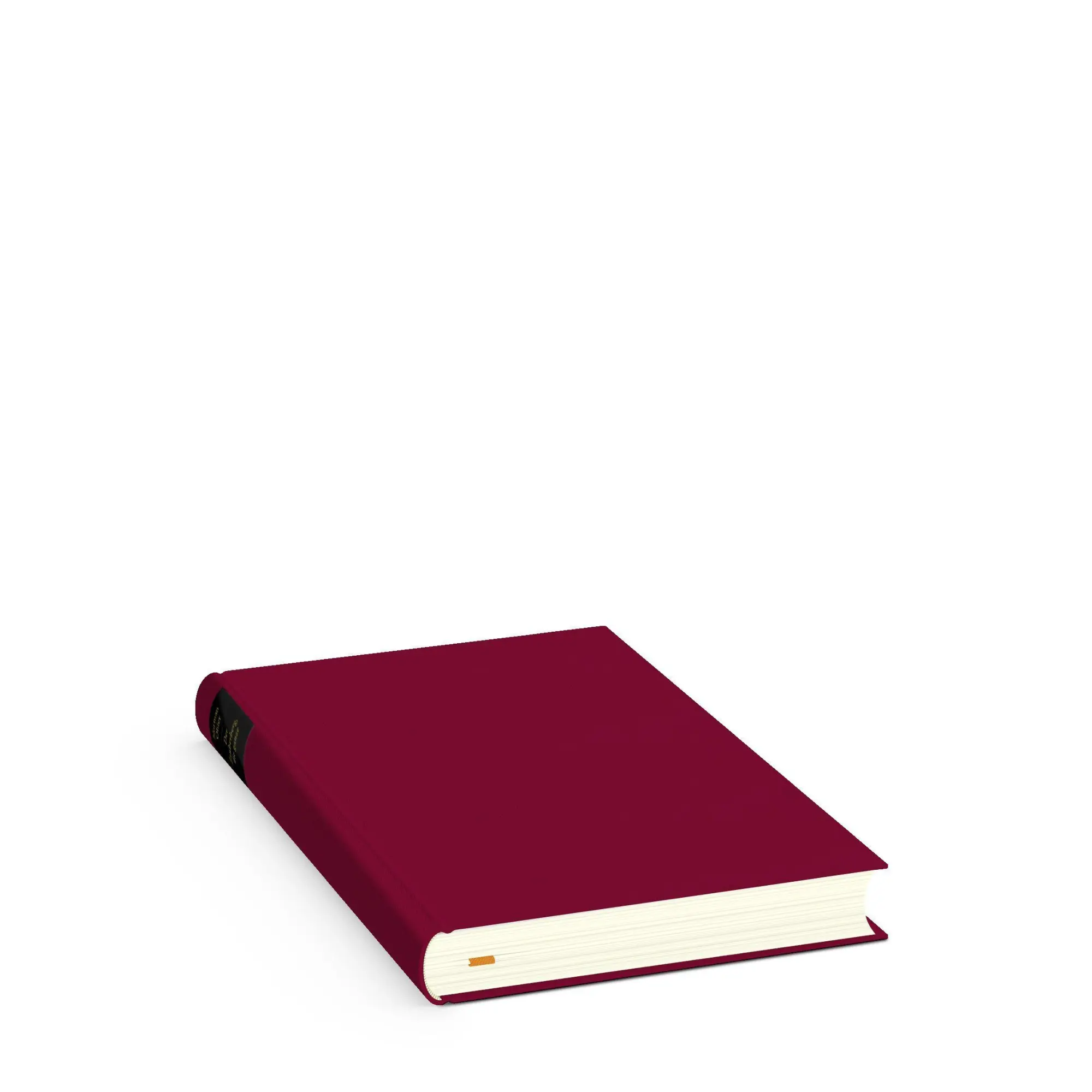 Bild: 9783257073188 | Der Zauberberg, die ganze Geschichte | Norman Ohler | Buch | 272 S.