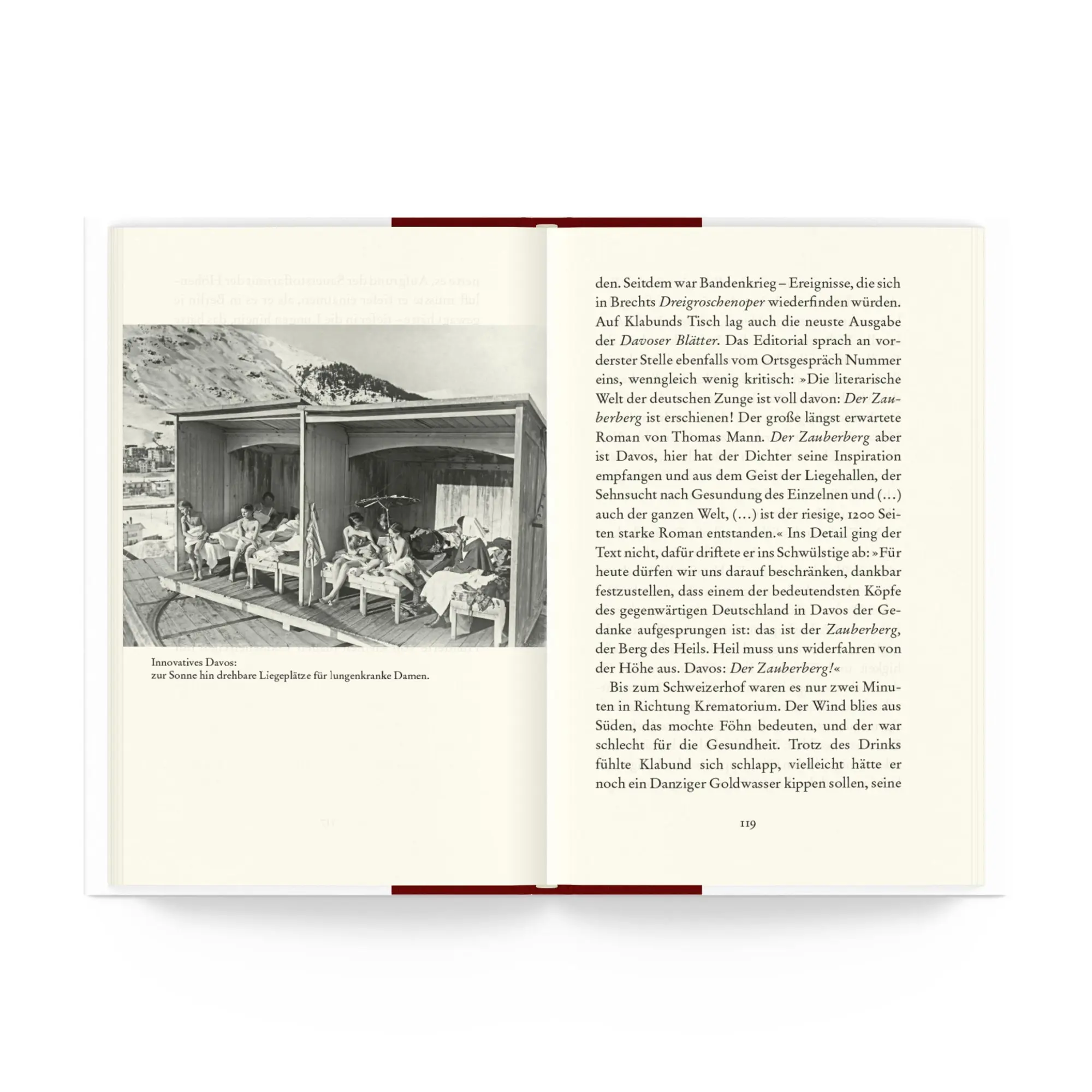 Bild: 9783257073188 | Der Zauberberg, die ganze Geschichte | Norman Ohler | Buch | 272 S.