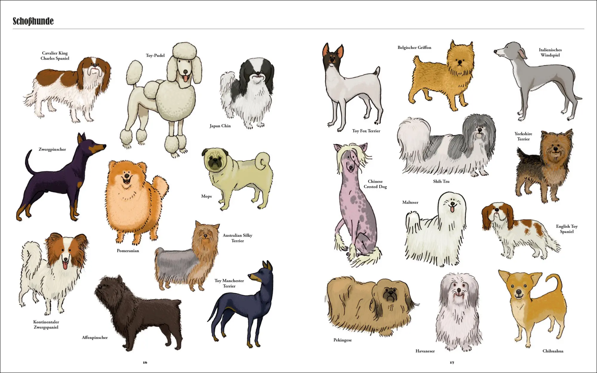 Bild: 9783791373188 | Große Hunde, kleine Hunde | Mark Fletcher (u. a.) | Buch | 32 S.