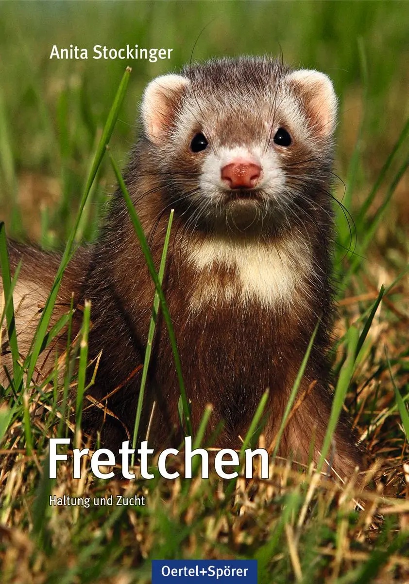 Cover: 9783886273188 | Frettchen | Haltung und Zucht | Anita Stockinger | Buch | 144 S.