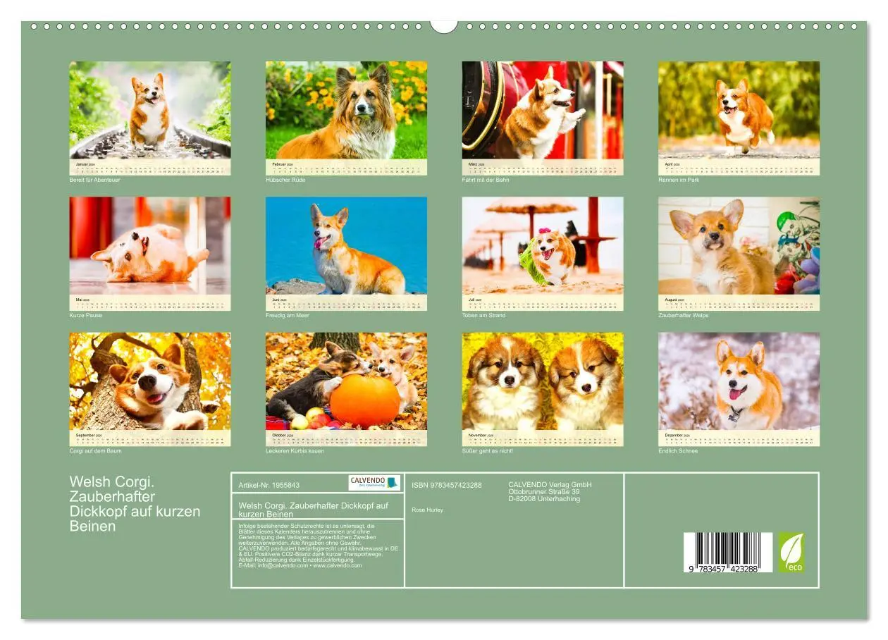 Bild: 9783457423288 | Welsh Corgi. Zauberhafter Dickkopf auf kurzen Beinen (hochwertiger...