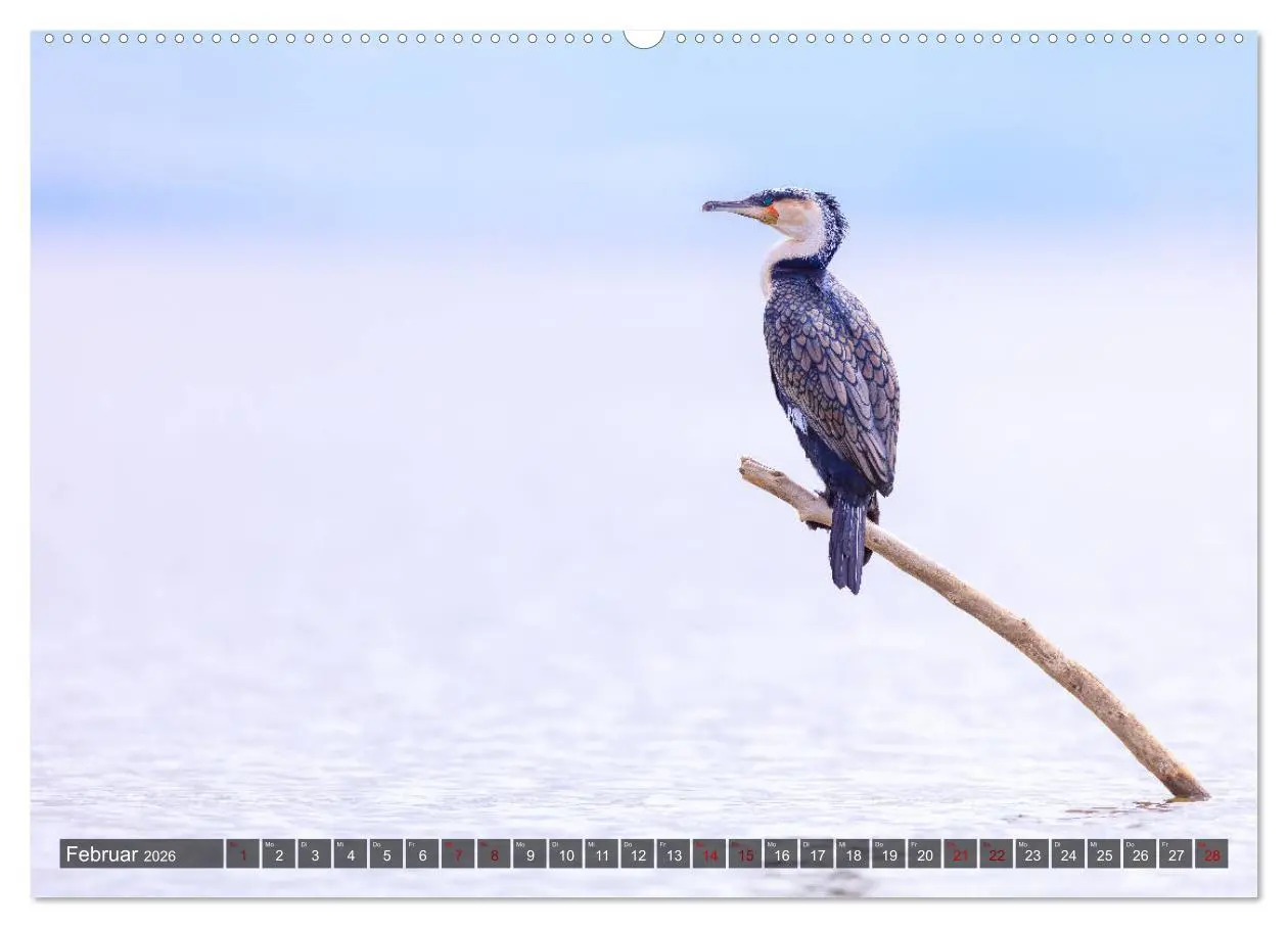 Bild: 9783457733288 | Auf Safari in Kenia 2026 (hochwertiger Premium Wandkalender 2026...
