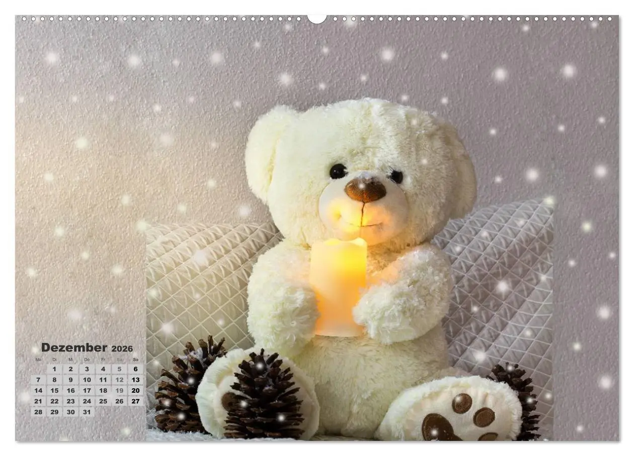 Bild: 9783457973288 | Teddys, wollen wir Kalender anschauen? (Wandkalender 2026 DIN A2...