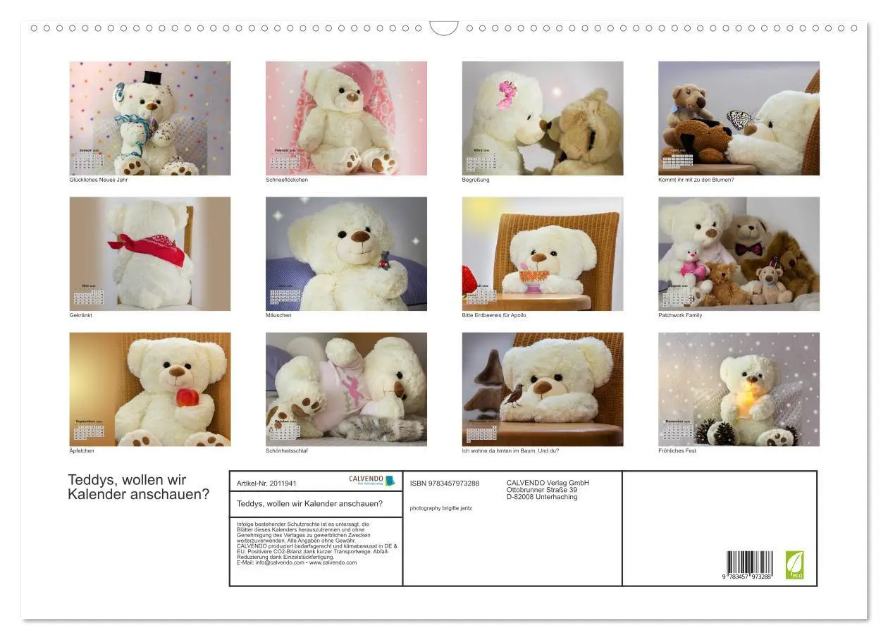 Bild: 9783457973288 | Teddys, wollen wir Kalender anschauen? (Wandkalender 2026 DIN A2...
