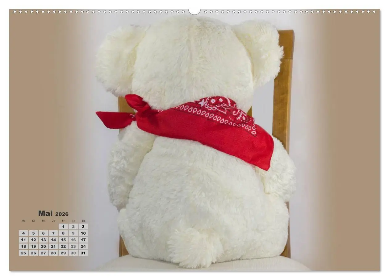 Bild: 9783457973288 | Teddys, wollen wir Kalender anschauen? (Wandkalender 2026 DIN A2...
