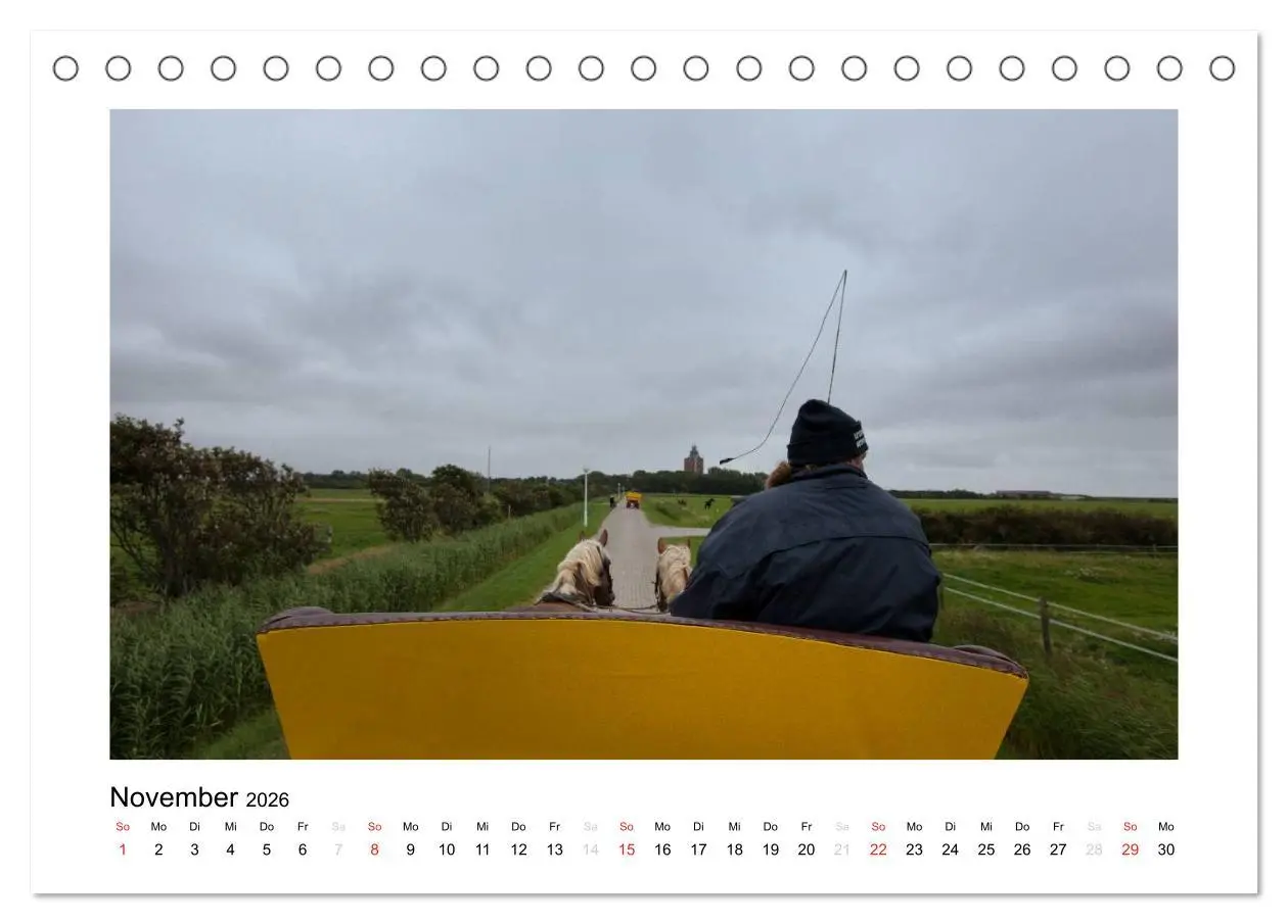 Bild: 9783516133288 | Die schöne Insel Neuwerk (Tischkalender 2026 DIN A5 quer), CALVENDO...