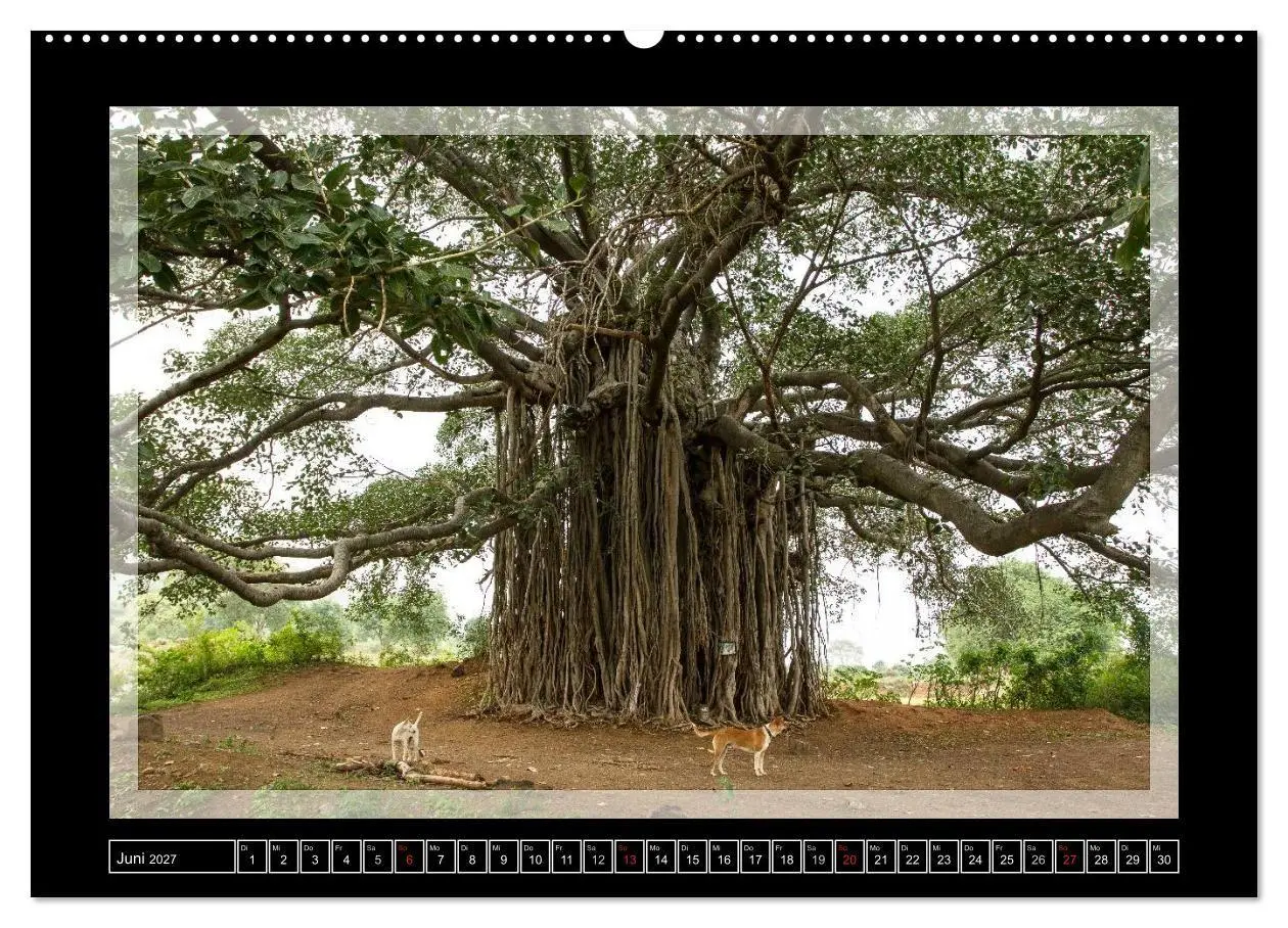 Bild: 9783594043288 | Kerala - Impressionen aus Südindien (Wandkalender 2027 DIN A2...
