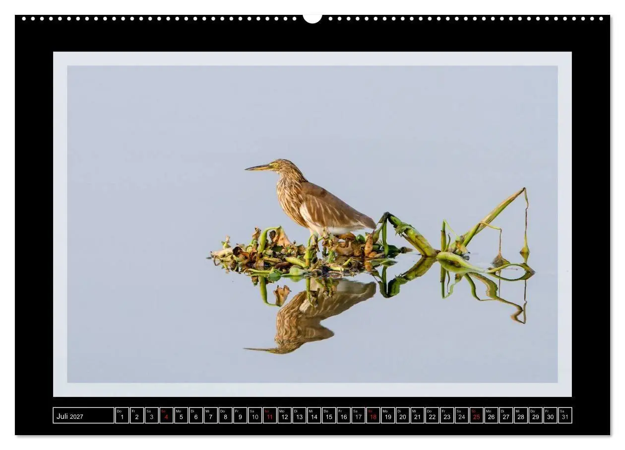 Bild: 9783594043288 | Kerala - Impressionen aus Südindien (Wandkalender 2027 DIN A2...