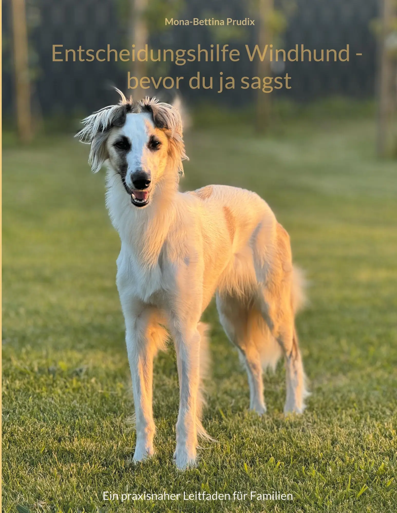 Cover: 9783695713288 | Entscheidungshilfe Windhund - bevor du ja sagst | Mona-Bettina Prudix
