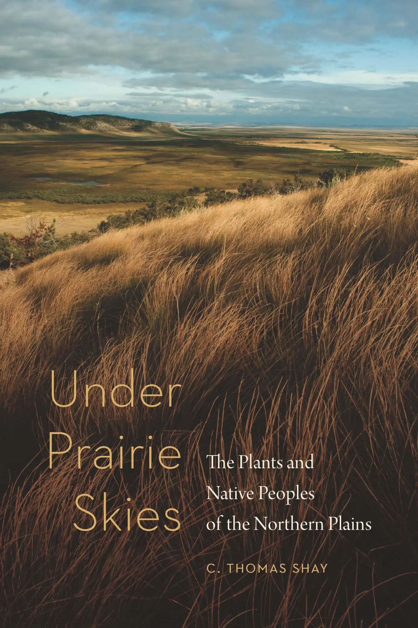 Cover: 9781496223388 | Under Prairie Skies | C Thomas Shay | Taschenbuch | Englisch | 2022