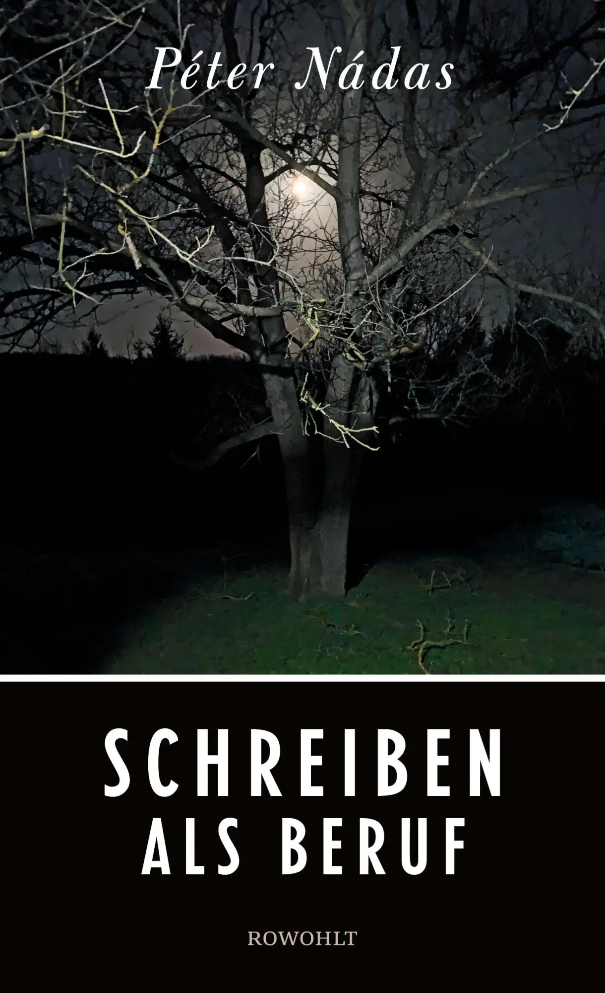 Cover: 9783498003388 | Schreiben als Beruf | Péter Nádas | Buch | 94 S. | Deutsch | 2022