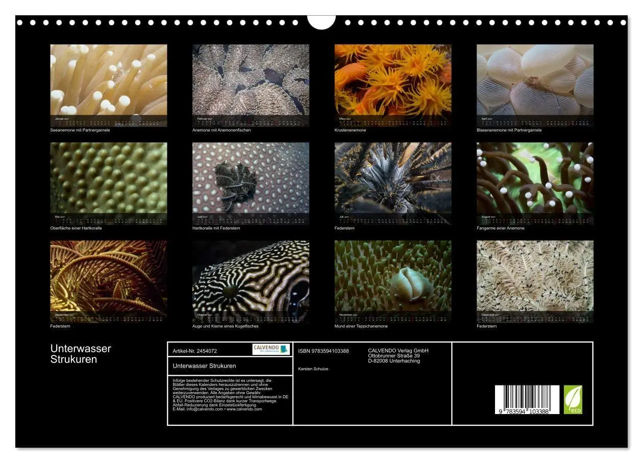 Bild: 9783594103388 | Unterwasser Strukuren (Wandkalender 2027 DIN A3 quer), CALVENDO...
