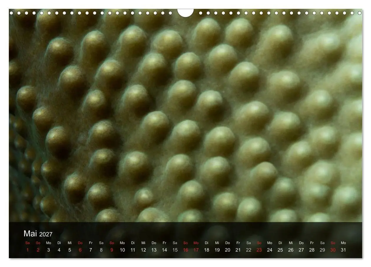 Bild: 9783594103388 | Unterwasser Strukuren (Wandkalender 2027 DIN A3 quer), CALVENDO...