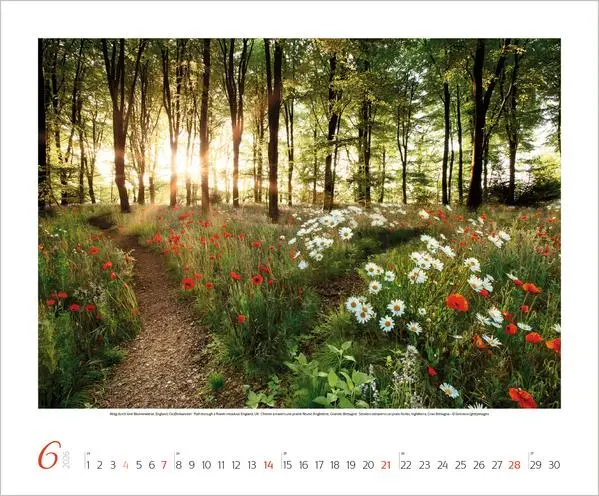 Bild: 9783731883388 | Augenblicke der Stille 2026 | Korsch Verlag | Kalender | Spiralbindung