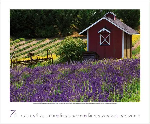 Bild: 9783731883388 | Augenblicke der Stille 2026 | Korsch Verlag | Kalender | Spiralbindung