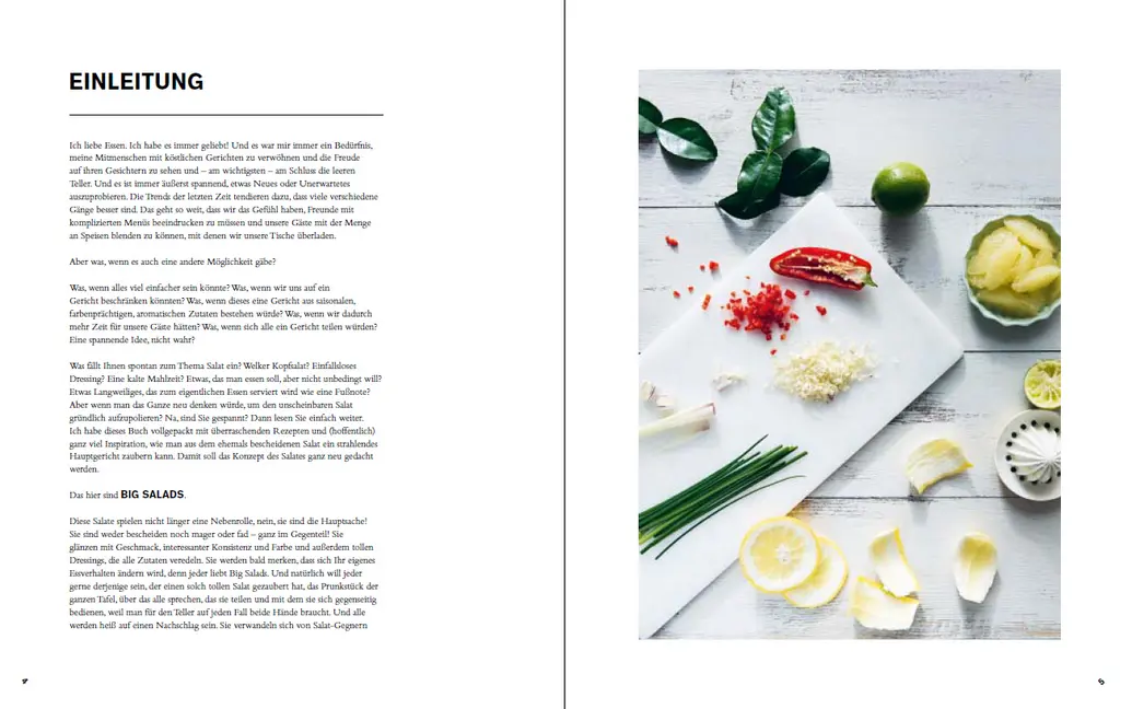 Bild: 9783799513388 | Big Salads | Sättigende Salate aus einer Schüssel | Kat Mead | Buch