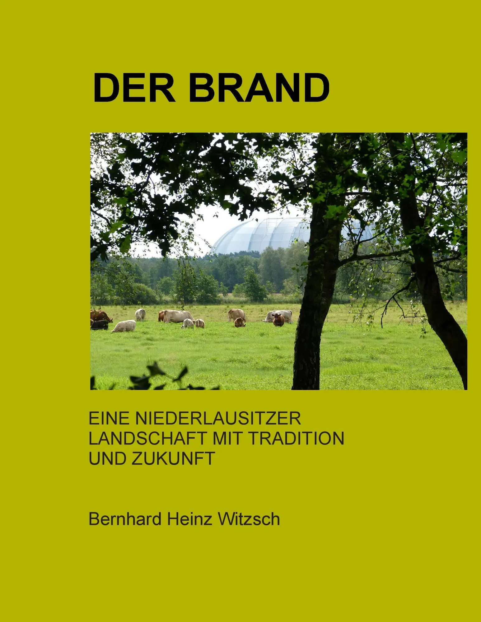 Cover: 9783848253388 | Der Brand | Bernhard Heinz Witzsch | Taschenbuch | 76 S. | Deutsch