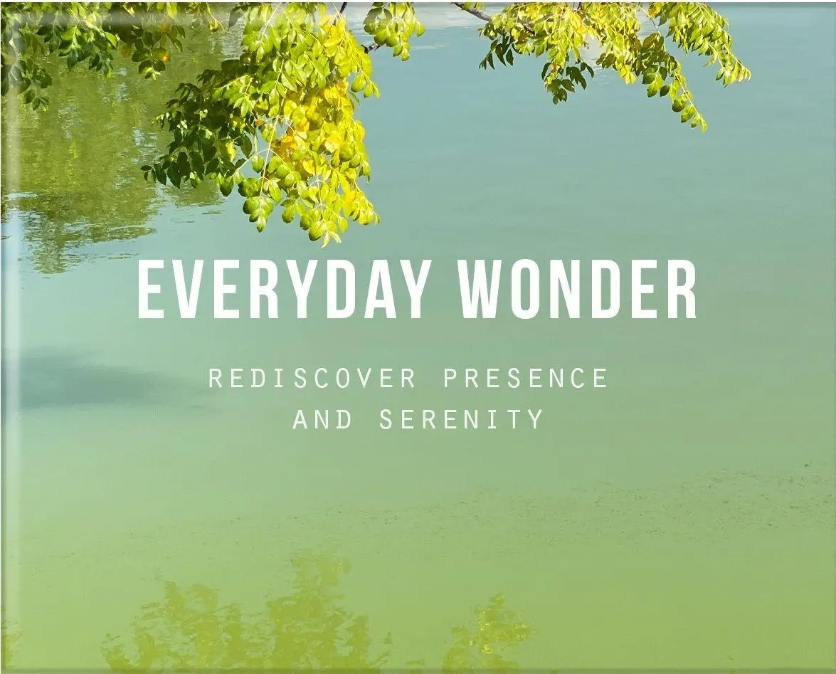 Cover: 9781916753488 | Everyday Wonder | Rediscover presence and serenity | Englisch | 2025