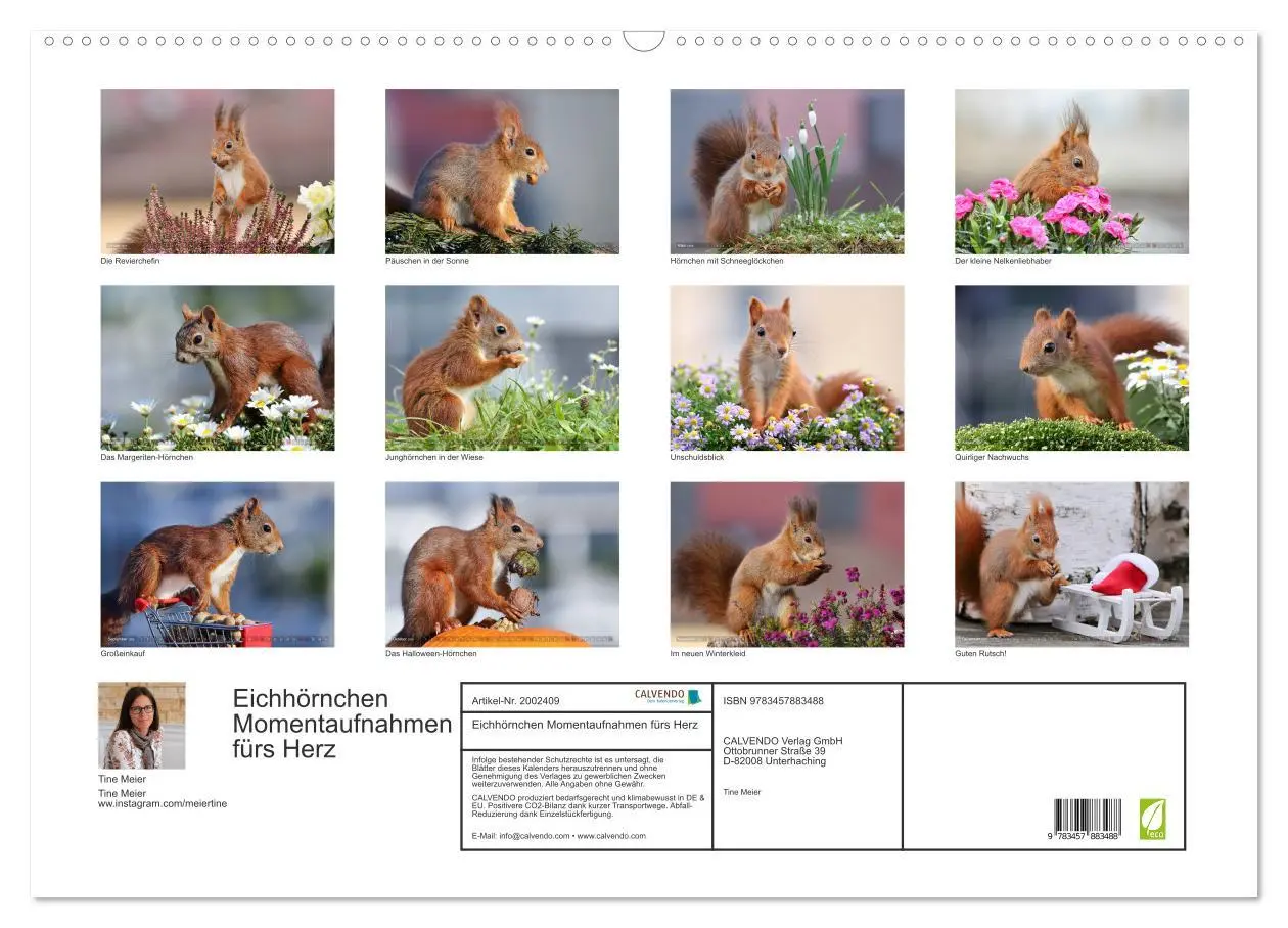 Bild: 9783457883488 | Eichhörnchen Momentaufnahmen fürs Herz (Wandkalender 2026 DIN A2...