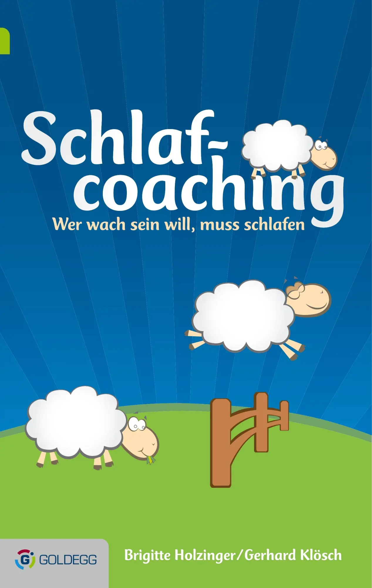 Cover: 9783902903488 | Schlafcoaching | Wer wach sein will, muss schlafen | Holzinger (u. a.)