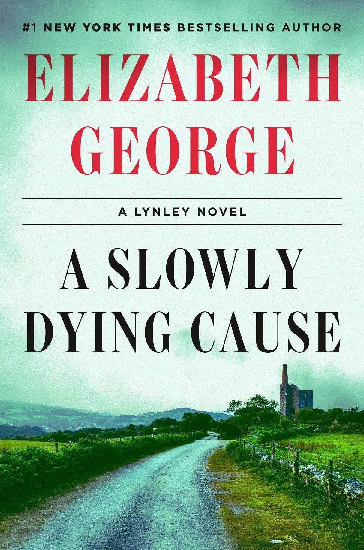Cover: 9780593493588 | A Slowly Dying Cause | A Lynley Novel | Elizabeth George | Buch | 2025