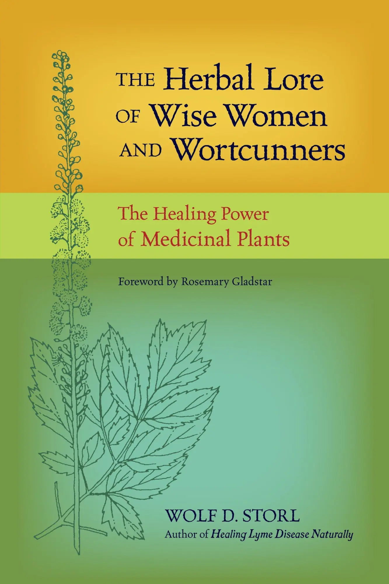 Cover: 9781583943588 | The Herbal Lore of Wise Women and Wortcunners | Wolf D Storl | Buch