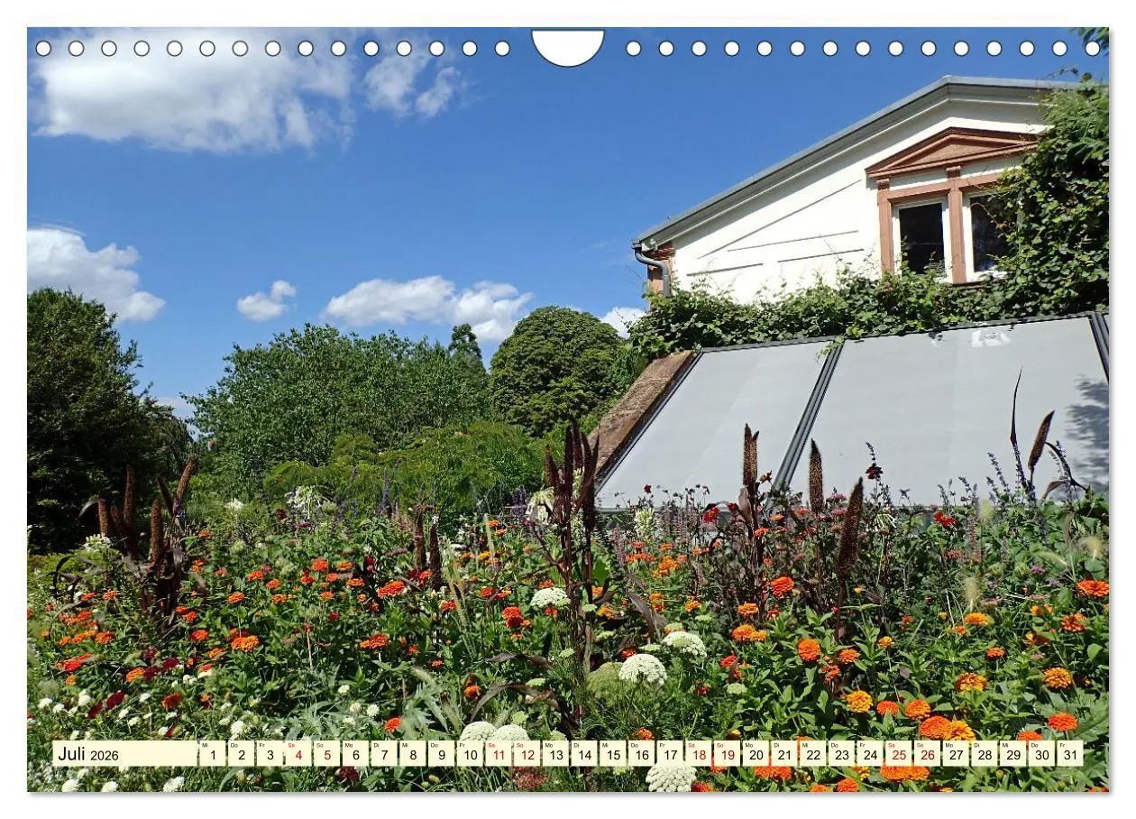Bild: 9783457323588 | Weinheim im Laufe der Jahreszeiten (Wandkalender 2026 DIN A4 quer),...