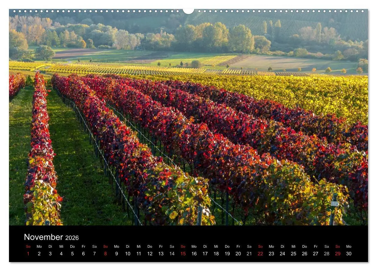 Bild: 9783516023688 | Sommerach - Perle der Mainschleife (Wandkalender 2026 DIN A2 quer),...