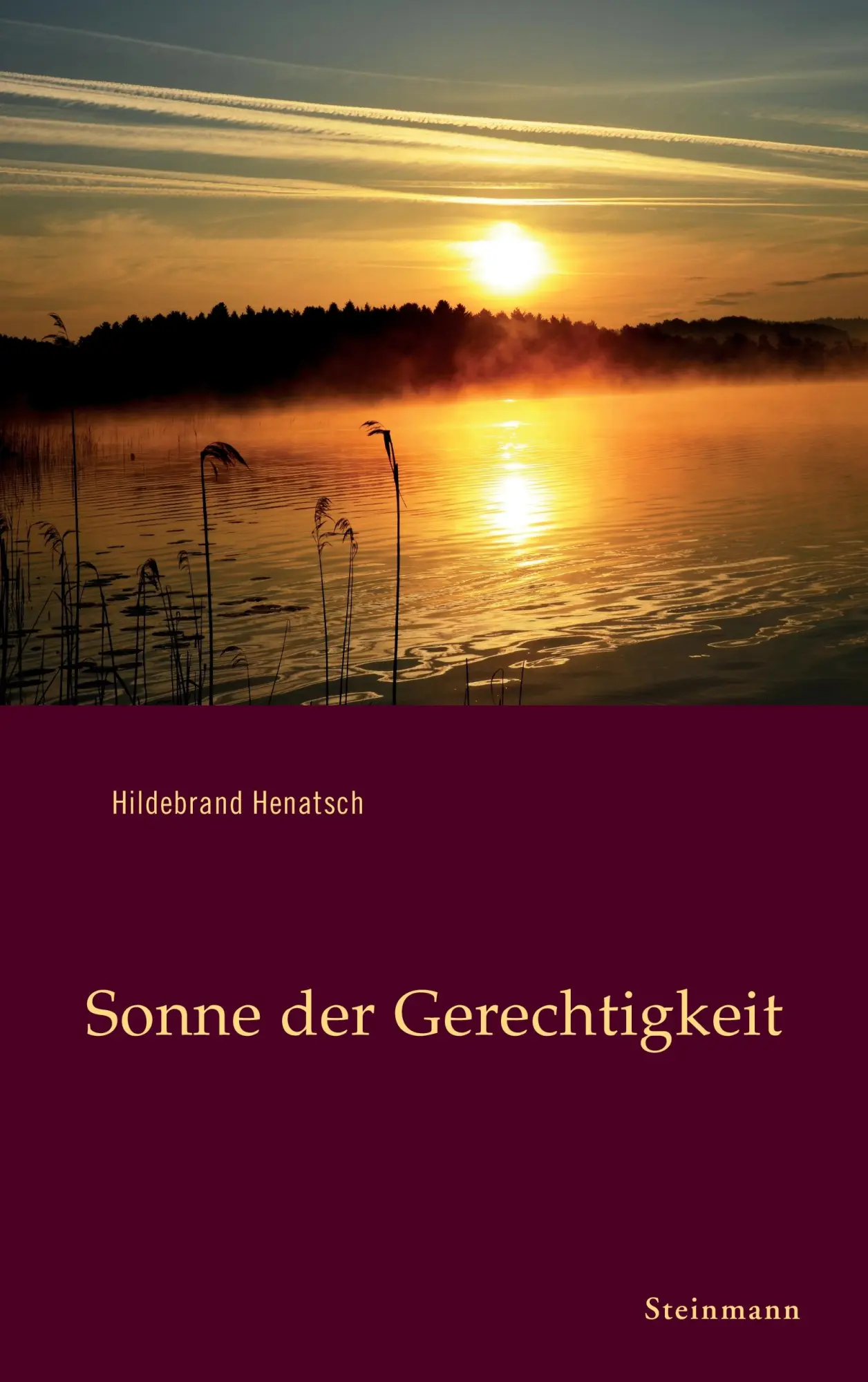 Cover: 9783927043688 | Sonne der Gerechtigkeit | Hildebrand Henatsch | Taschenbuch | 104 S.