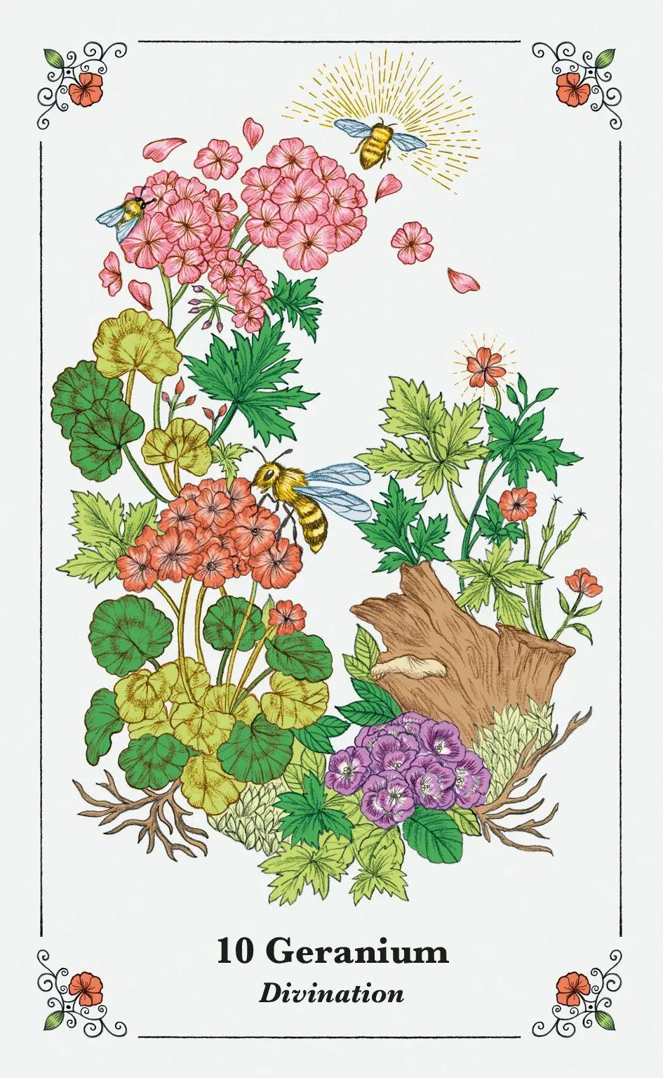 Bild: 9781800653788 | Spirits in Flowers Oracle Deck | Gillian Kemp | Englisch | 2025