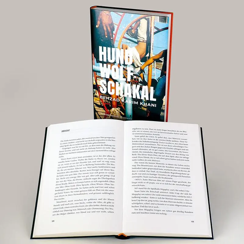 Bild: 9783446273788 | Hund, Wolf, Schakal | Roman | Behzad Karim Khani | Buch | 288 S.