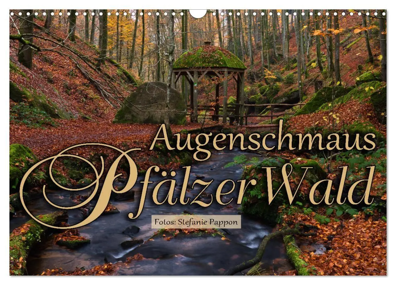 Cover: 9783569583788 | Augenschmaus Pfälzer Wald (Wandkalender 2027 DIN A3 quer), CALVENDO...