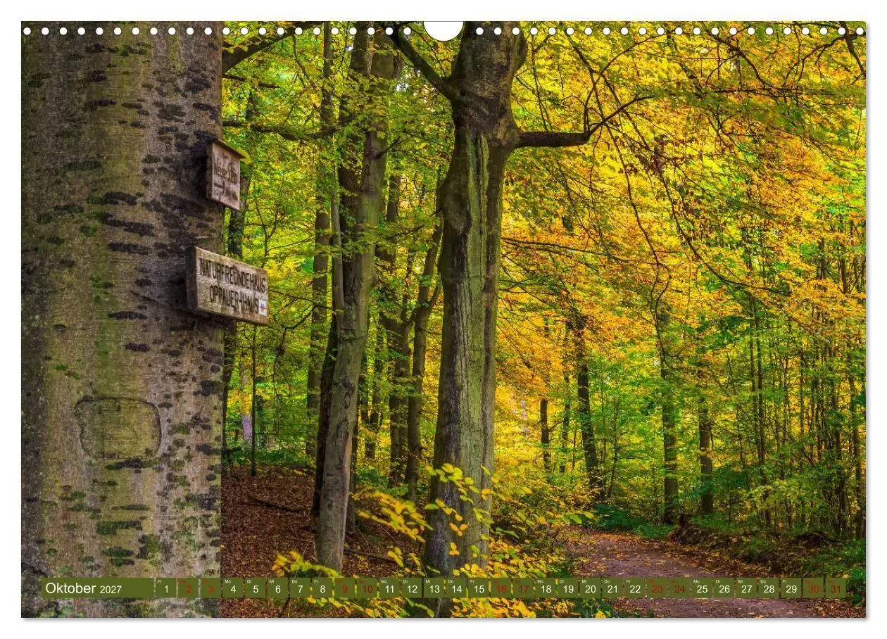 Bild: 9783569583788 | Augenschmaus Pfälzer Wald (Wandkalender 2027 DIN A3 quer), CALVENDO...