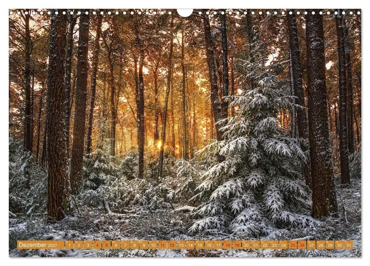 Bild: 9783569583788 | Augenschmaus Pfälzer Wald (Wandkalender 2027 DIN A3 quer), CALVENDO...