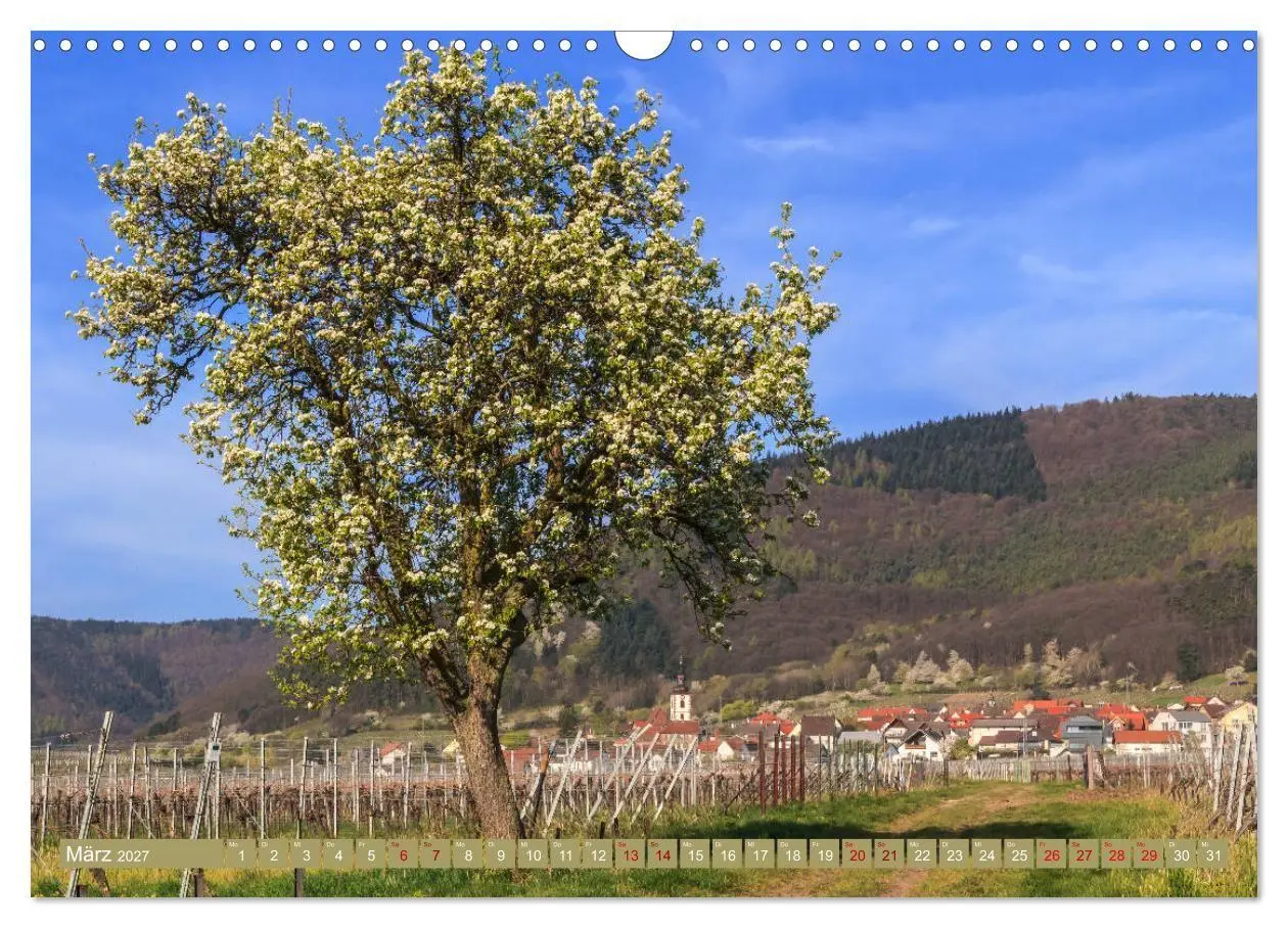 Bild: 9783569583788 | Augenschmaus Pfälzer Wald (Wandkalender 2027 DIN A3 quer), CALVENDO...