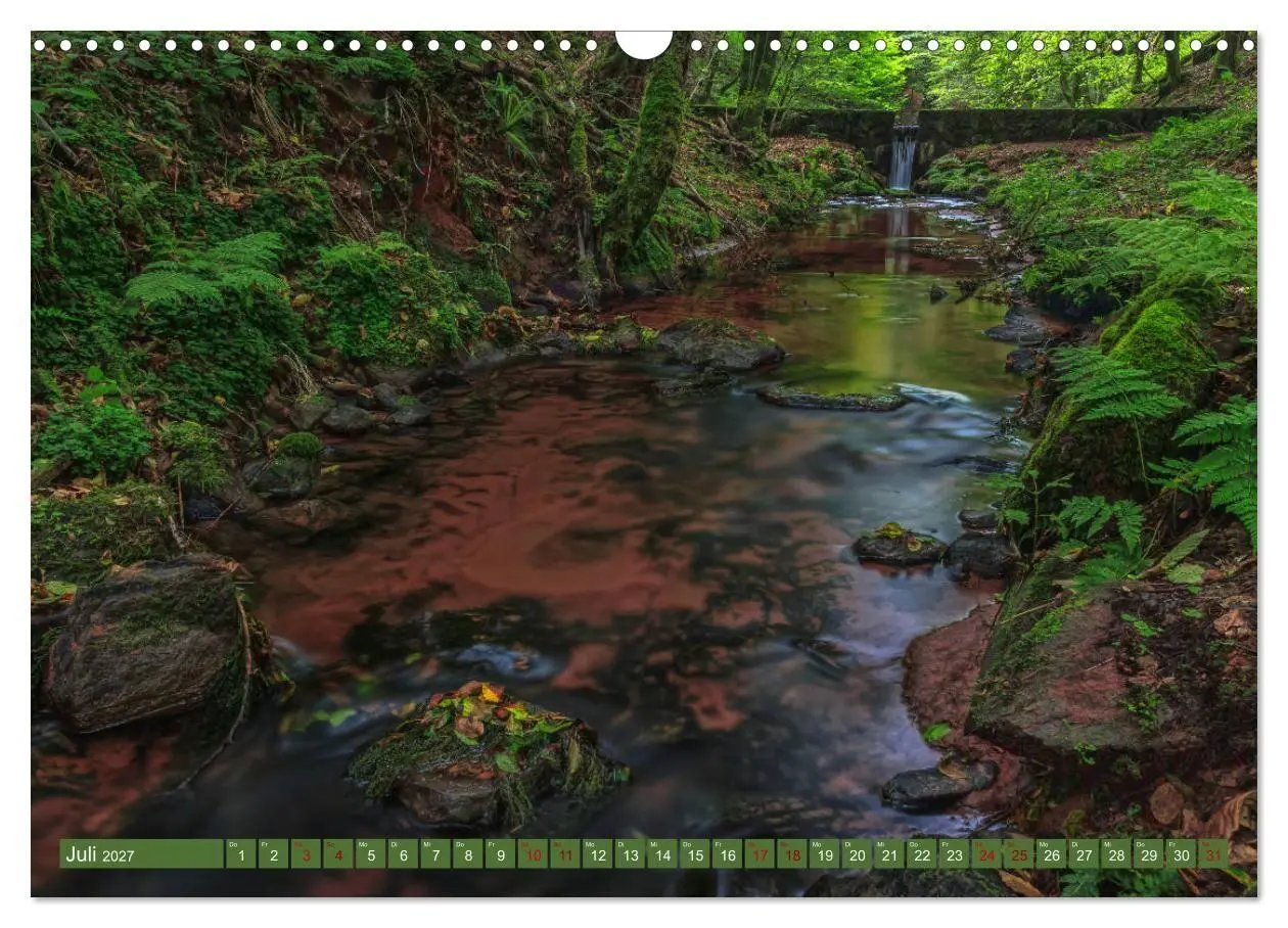 Bild: 9783569583788 | Augenschmaus Pfälzer Wald (Wandkalender 2027 DIN A3 quer), CALVENDO...