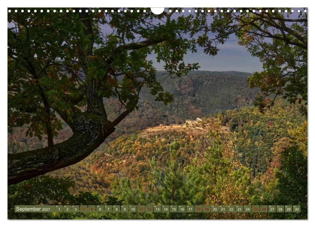 Bild: 9783569583788 | Augenschmaus Pfälzer Wald (Wandkalender 2027 DIN A3 quer), CALVENDO...
