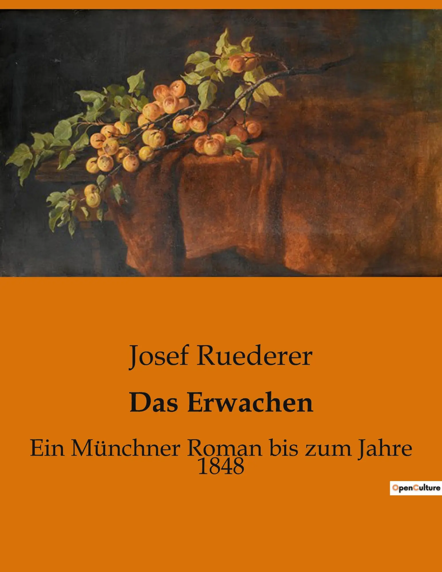 Cover: 9791041903788 | Das Erwachen | Ein Münchner Roman bis zum Jahre 1848 | Josef Ruederer