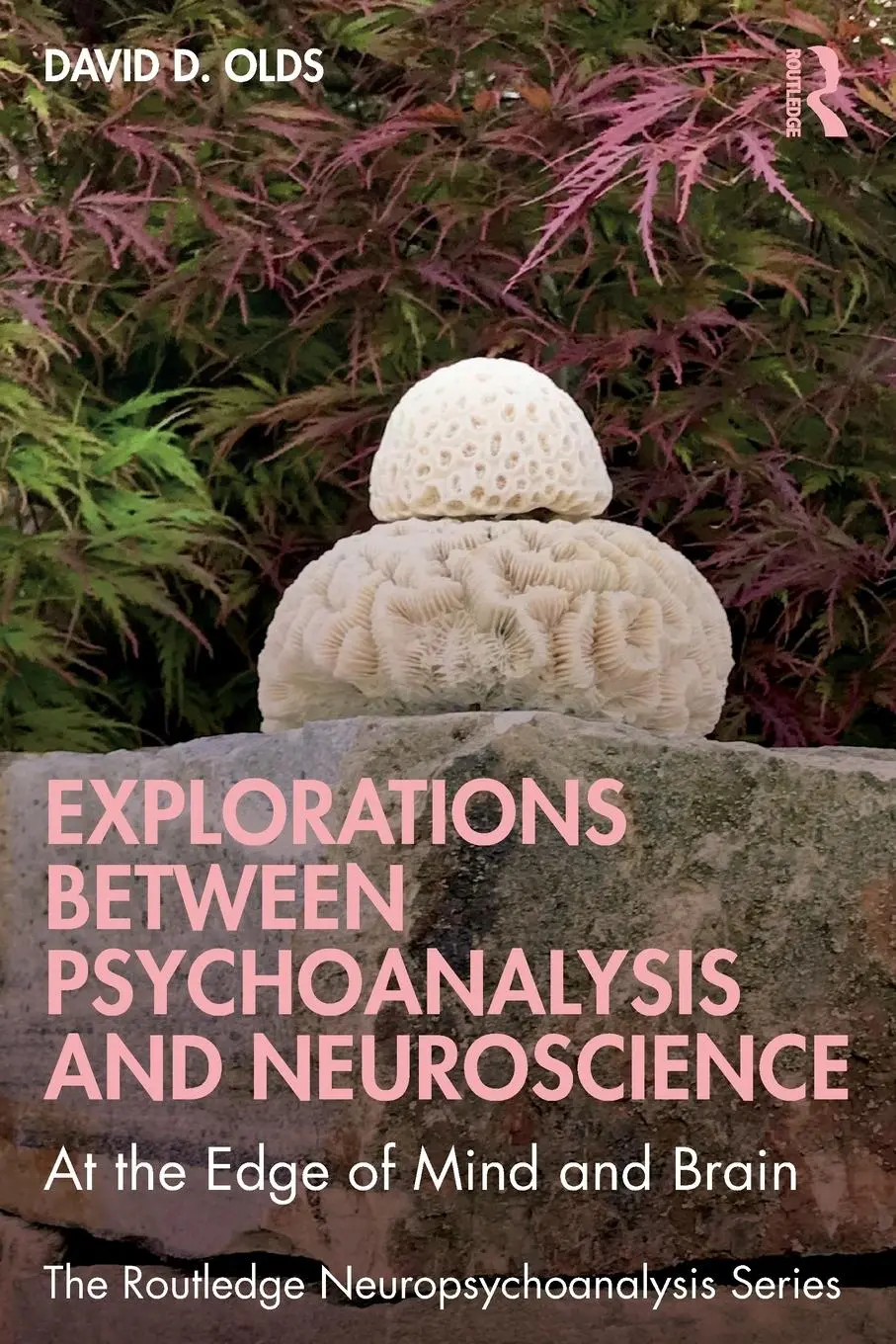 Cover: 9781032473888 | Explorations Between Psychoanalysis and Neuroscience | David D. Olds