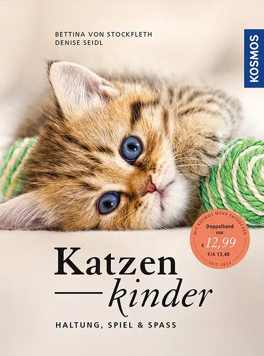Cover: 9783440153888 | Katzenkinder | Haltung, Spiel &amp; Spaß | Bettina von Stockfleth (u. a.)