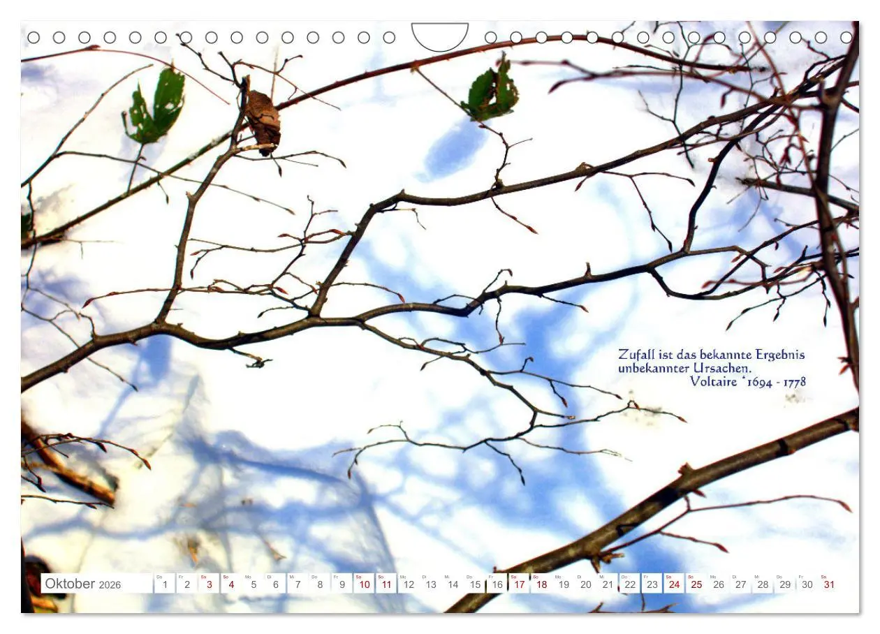 Bild: 9783457603888 | Über den Zufall - Nachdenk-Kalender (Wandkalender 2026 DIN A4...