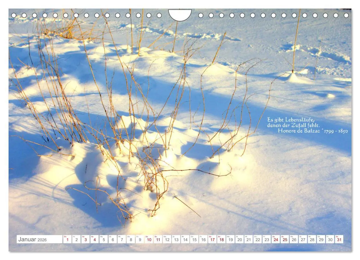 Bild: 9783457603888 | Über den Zufall - Nachdenk-Kalender (Wandkalender 2026 DIN A4...