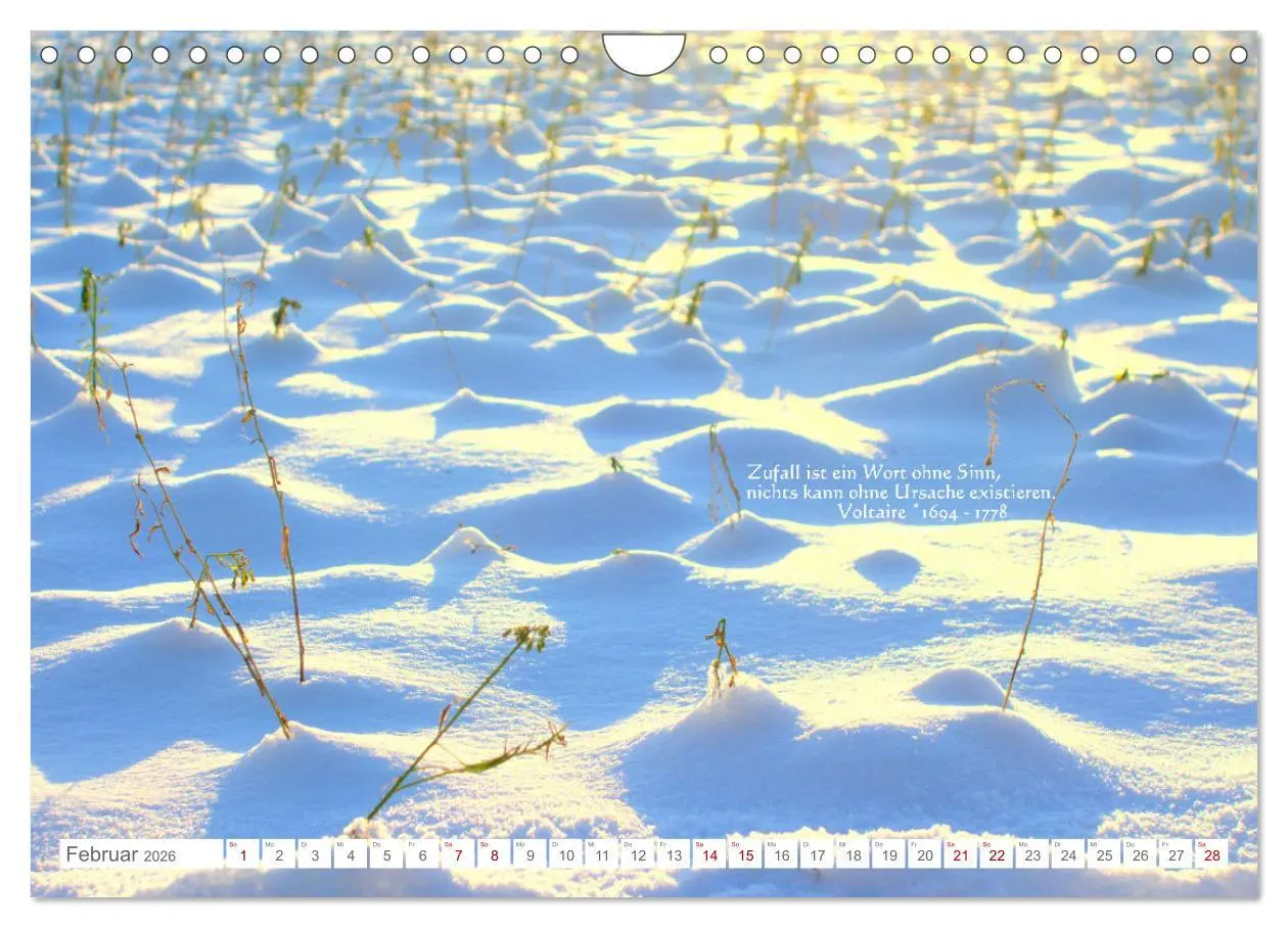 Bild: 9783457603888 | Über den Zufall - Nachdenk-Kalender (Wandkalender 2026 DIN A4...