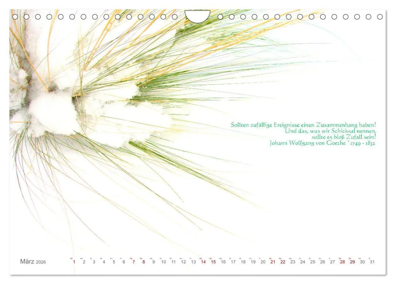 Bild: 9783457603888 | Über den Zufall - Nachdenk-Kalender (Wandkalender 2026 DIN A4...