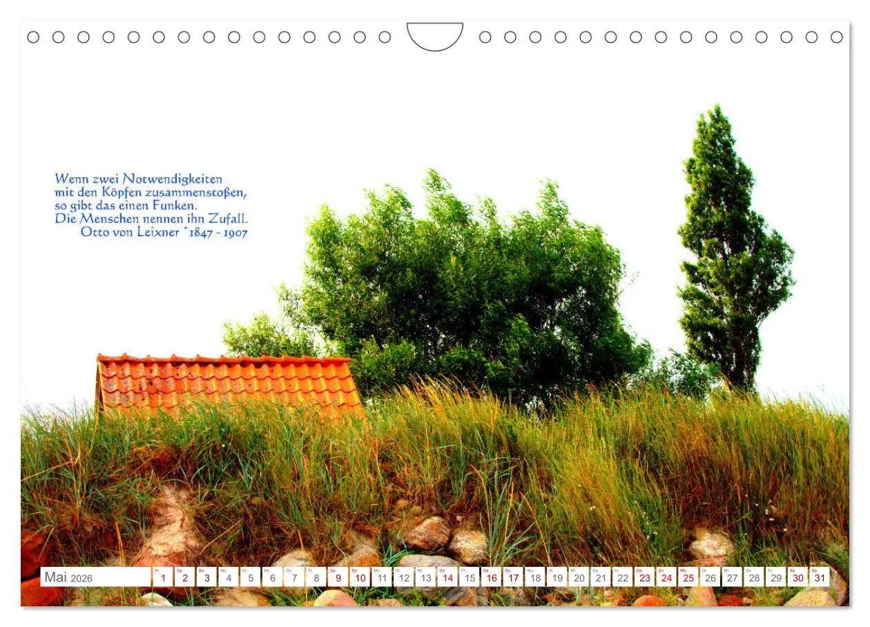 Bild: 9783457603888 | Über den Zufall - Nachdenk-Kalender (Wandkalender 2026 DIN A4...