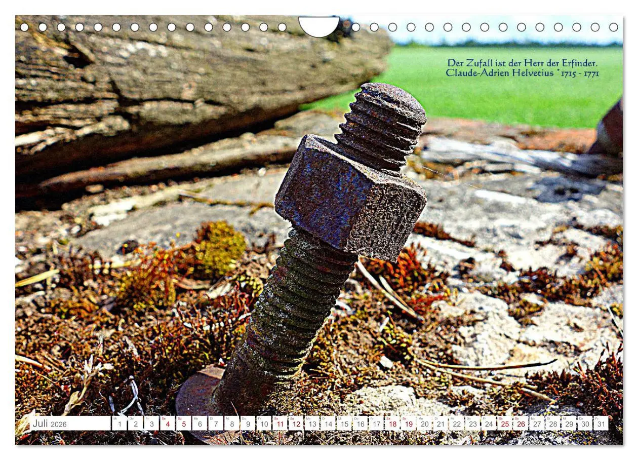 Bild: 9783457603888 | Über den Zufall - Nachdenk-Kalender (Wandkalender 2026 DIN A4...