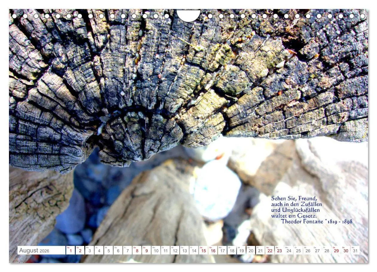 Bild: 9783457603888 | Über den Zufall - Nachdenk-Kalender (Wandkalender 2026 DIN A4...