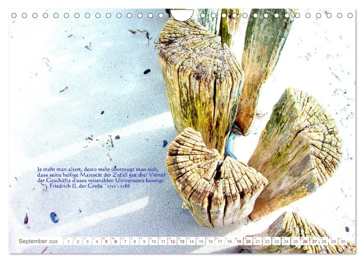 Bild: 9783457603888 | Über den Zufall - Nachdenk-Kalender (Wandkalender 2026 DIN A4...