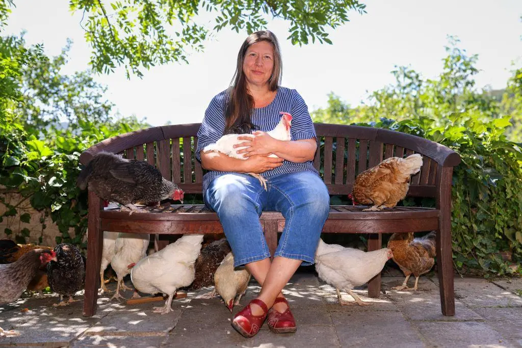 Autor: 9783990603888 | Es war einmal das Huhn | Astrid Drapela | Buch | 250 S. | Deutsch