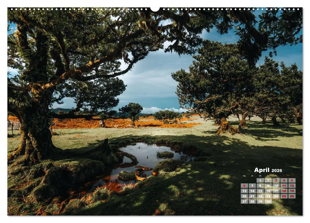 Bild: 9783457523988 | Trauminsel Madeira (hochwertiger Premium Wandkalender 2026 DIN A2...